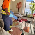 Living Room Cleaning Ellivette Cleaning Services